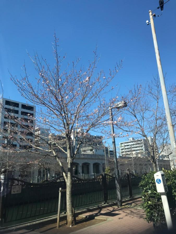 Share House On The Hill Hotel Yokohama  Luaran gambar